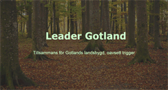 Desktop Screenshot of leadergotland.se