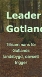 Mobile Screenshot of leadergotland.se