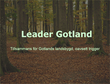Tablet Screenshot of leadergotland.se